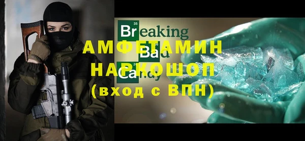 индика Арсеньев