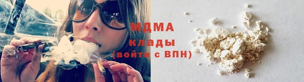 индика Арсеньев