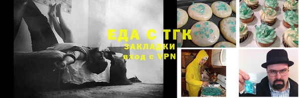 индика Арсеньев