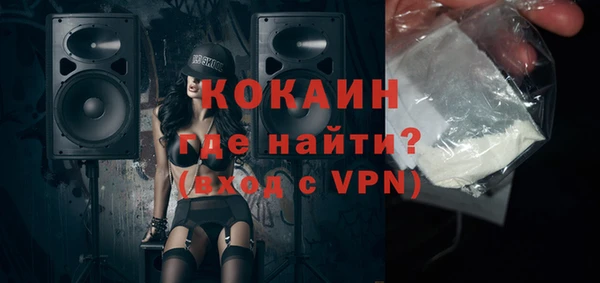 индика Арсеньев