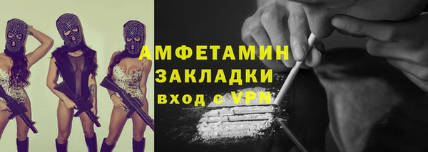 индика Арсеньев