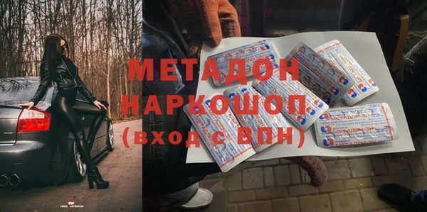 индика Арсеньев