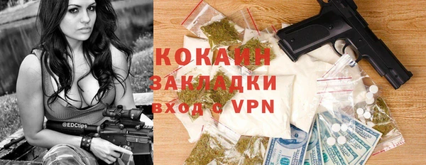 индика Арсеньев