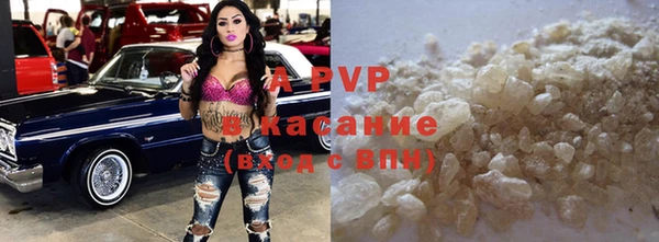 индика Арсеньев