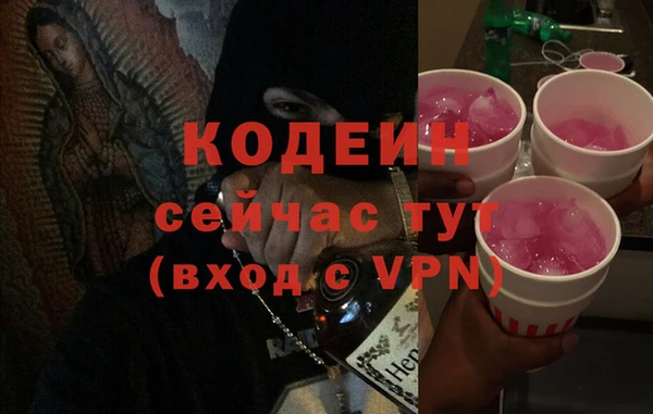 индика Арсеньев