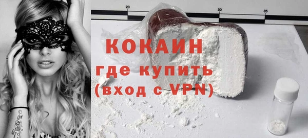 индика Арсеньев