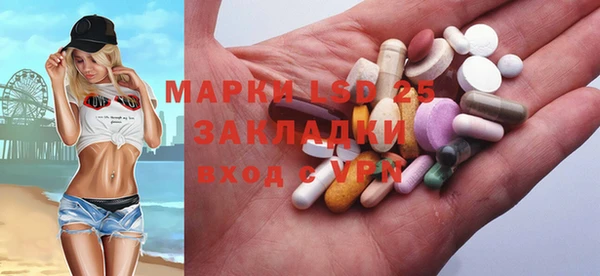 индика Арсеньев