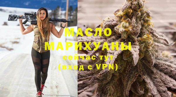 индика Арсеньев